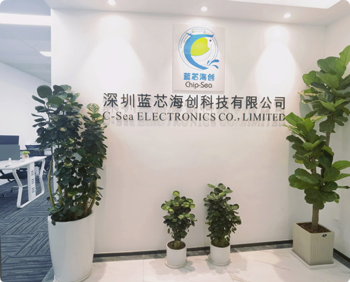 Company Overview